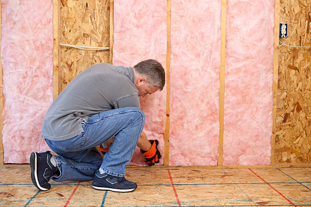 Best Cellulose Insulation in Minoa, NY